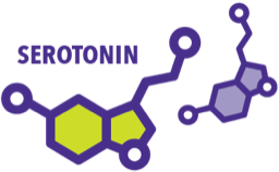 Neuroendocrine tumor producing too much of the hormone serotonin